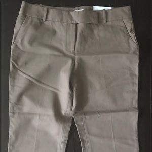 Loft Curvy Julie Capri